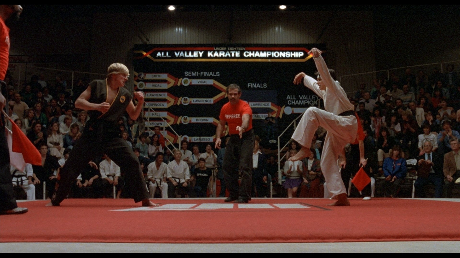 The Intricacies of Karate and Taekwondo
