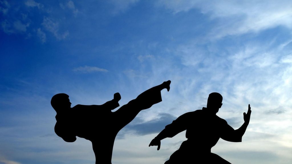 Kung Fu Chronicles: The Evolution of Martial Mastery